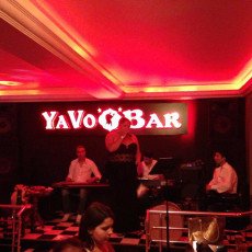 amasra-yavo-bar-volki.jpg