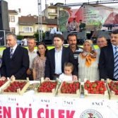 cilek-festivali.jpg