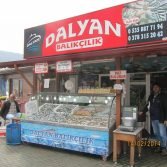 dalyan-balikcilik-amasra-1.jpg