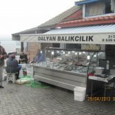 dalyan-balikcilik-amasra-2.jpg